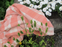 rez10702_1_1547157649