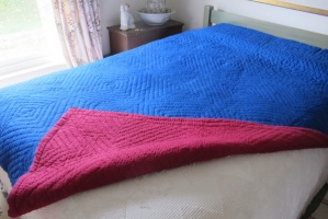 rezmaroon_and_blue__10